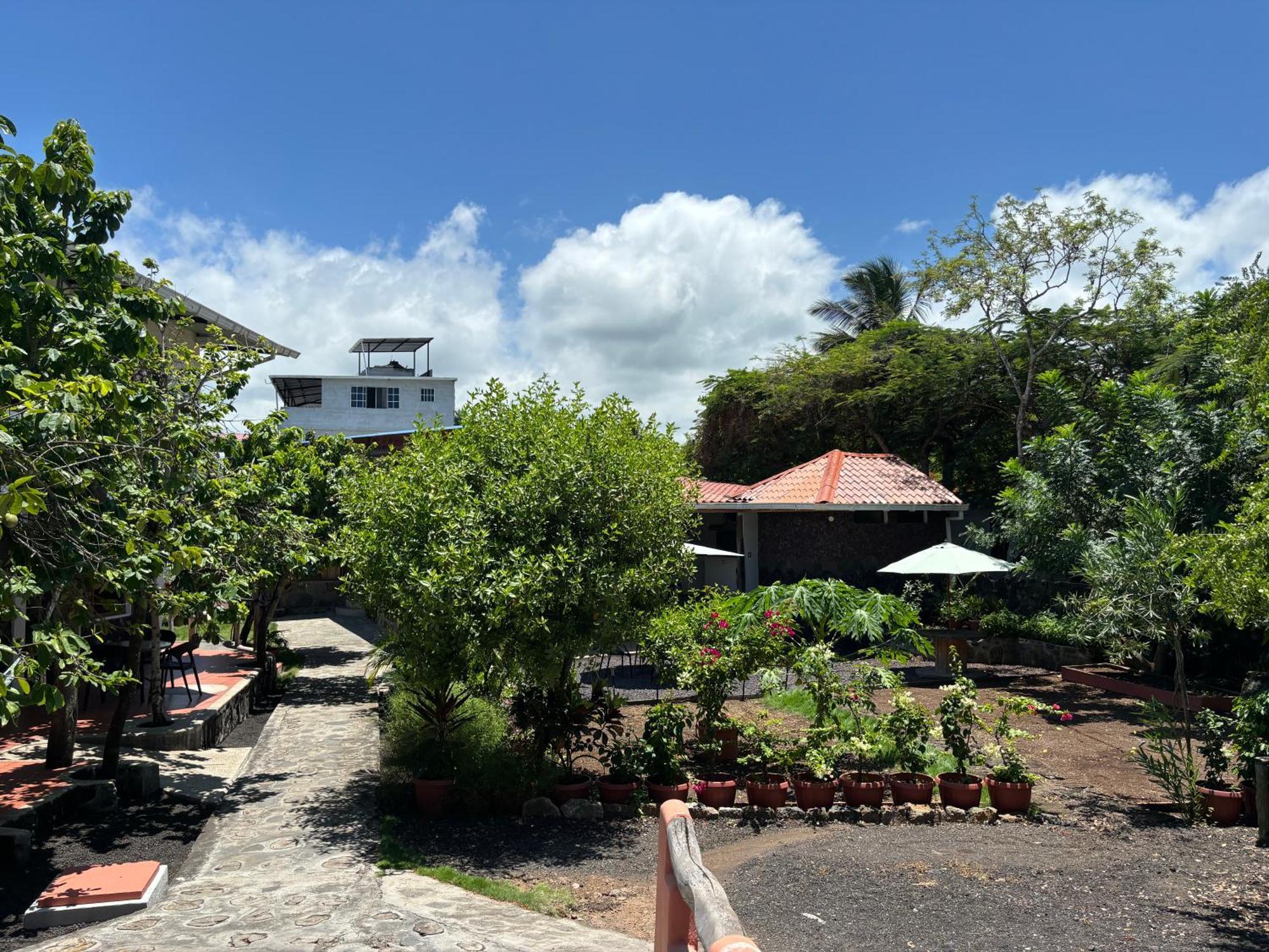 Lava House Hostal Puerto Ayora  Eksteriør bilde
